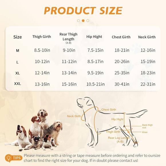 Dog ACL Brace Hind Leg Keeps Joints Warm and Stable, Upgraded Adjustable Leg XXL - Picture 6 of 7